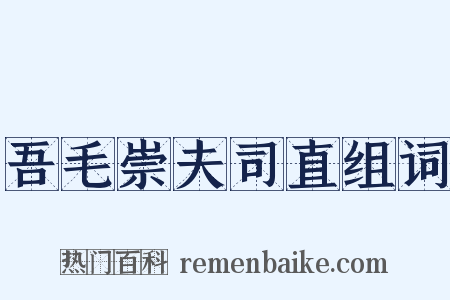 吾毛崇夫司直组词是什么意思的图片